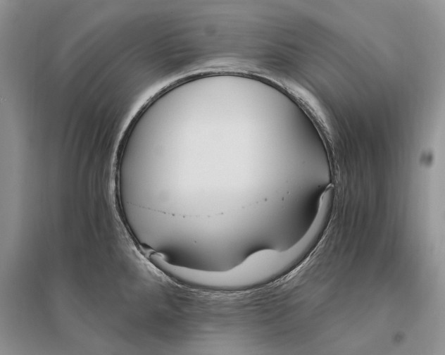 X0000096201288200802151517