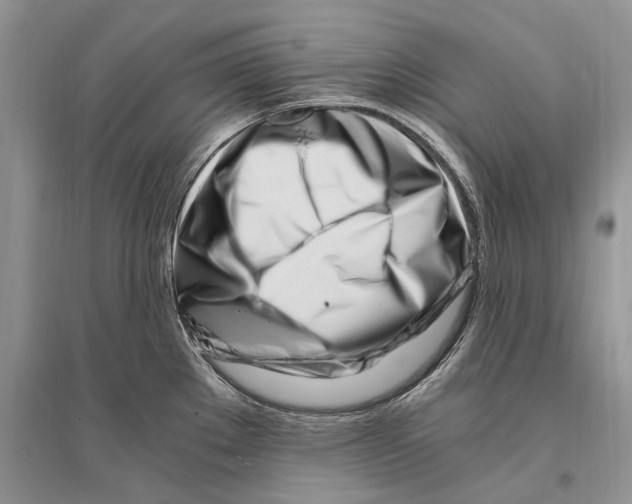 X0000096201289200802151517