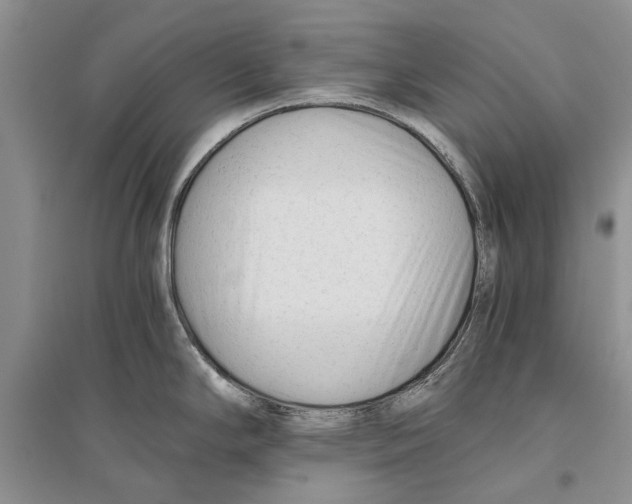 X0000096201294200802151517