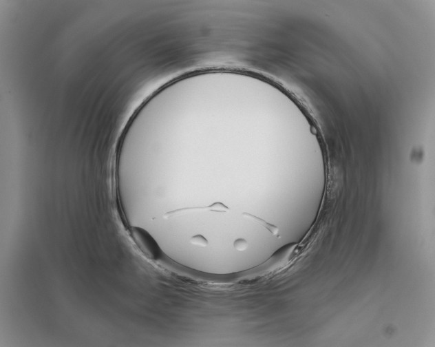 X0000096201295200802151517