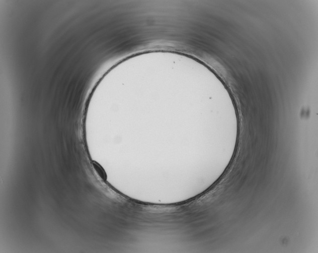 X0000096201296200802151517