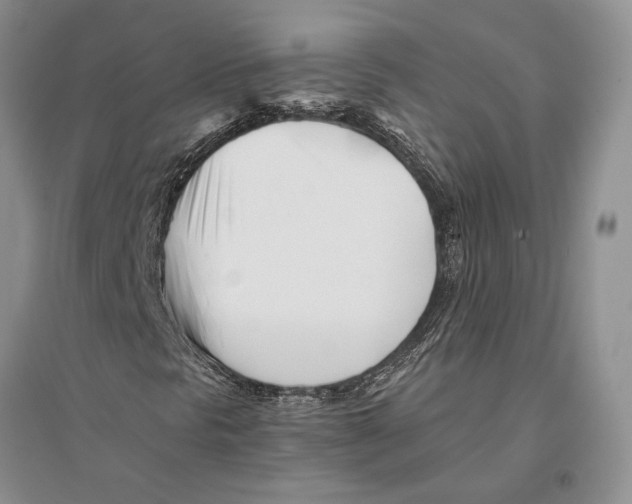 X0000096201297200802151516