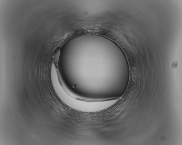 X0000096201298200802151516