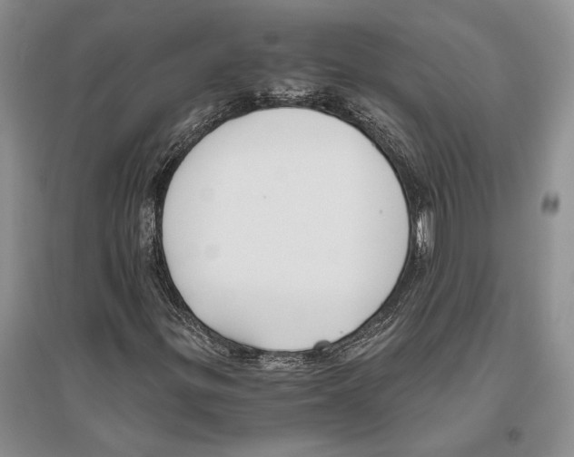 X0000096201299200802151516