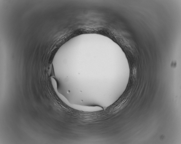 X0000096201300200802151516