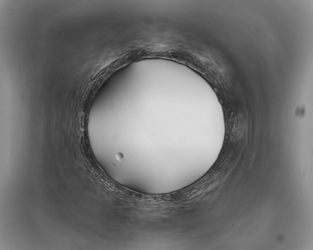 X0000096201301200802151516