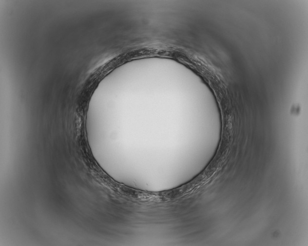 X0000096201302200802151516