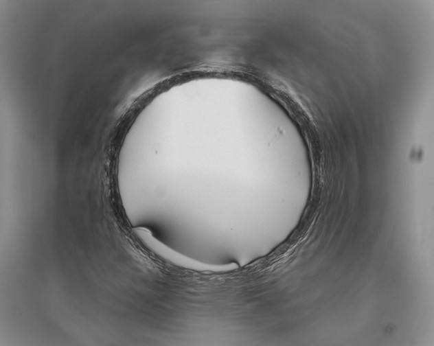 X0000096201304200802151516