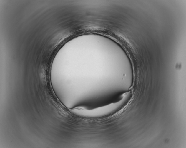 X0000096201305200802151516