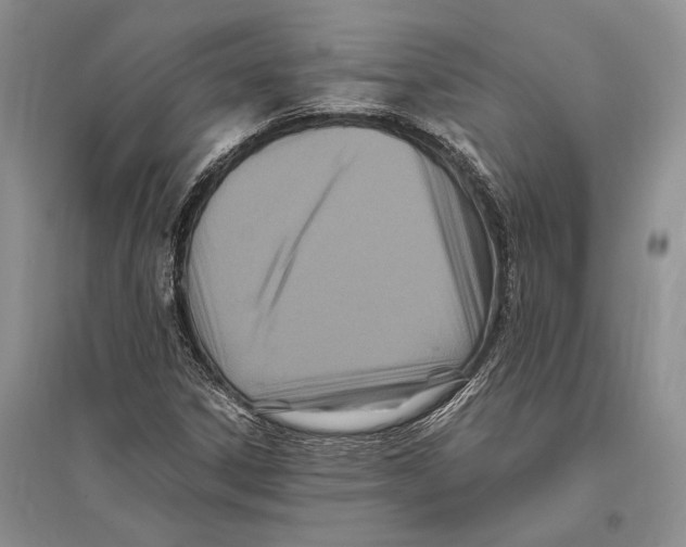 X0000096201306200802151516