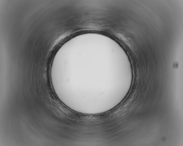 X0000096201307200802151516