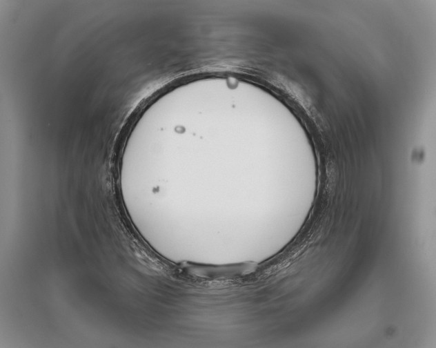 X0000096201308200802151516