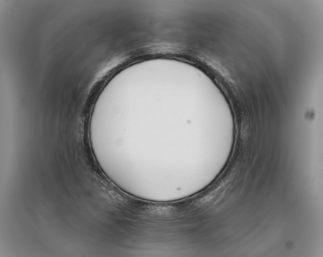 X0000096201309200802151516