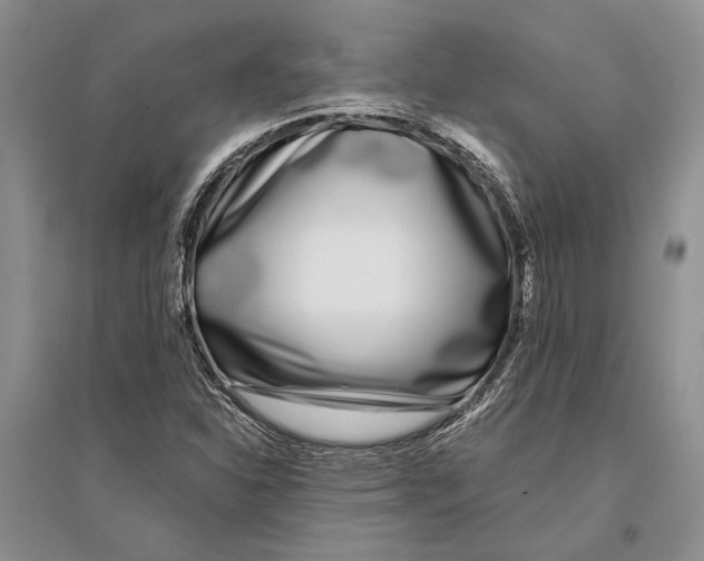 X0000096201310200802151516