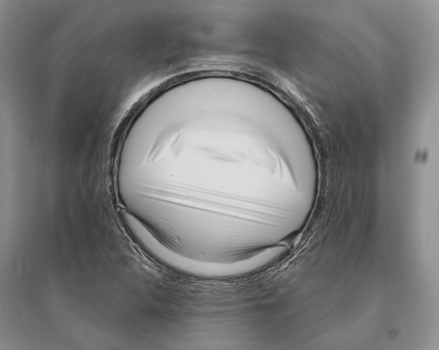 X0000096201312200802151516