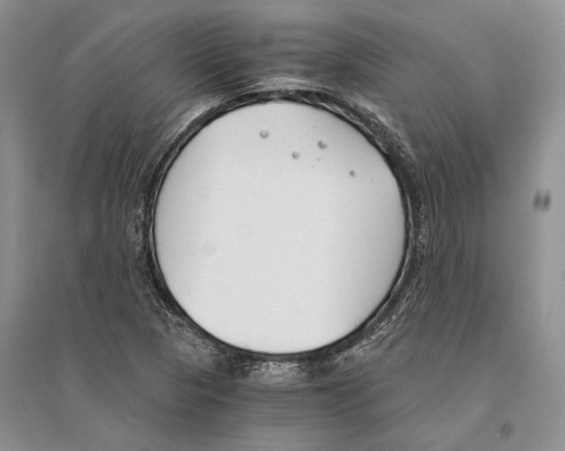 X0000096201313200802151516