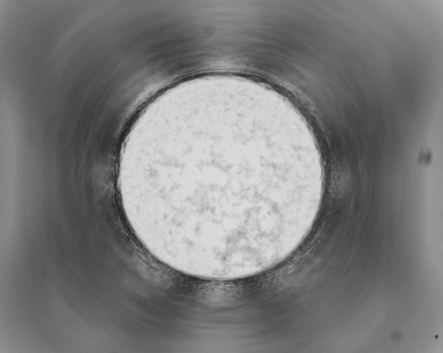 X0000096201314200802151517