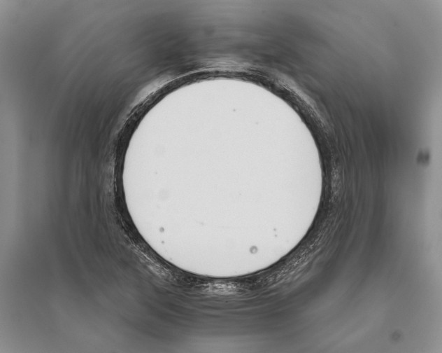 X0000096201315200802151517