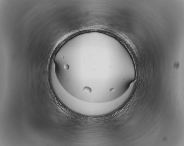 X0000096201316200802151517