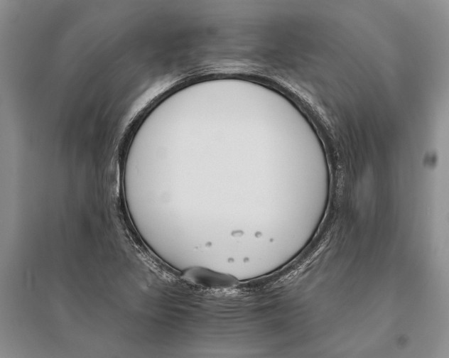 X0000096201317200802151517