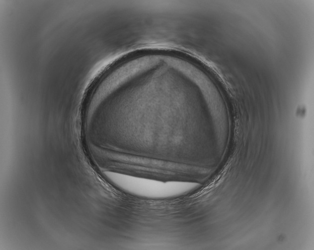 X0000096201319200802151517