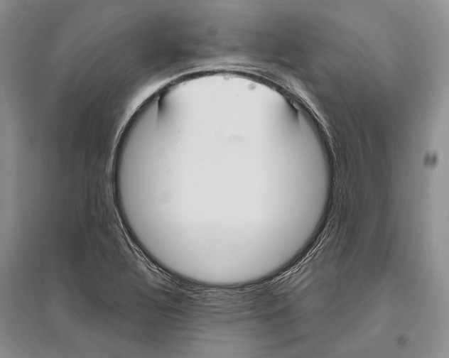 X0000096201320200802151517