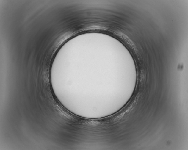 X0000096201321200802151517