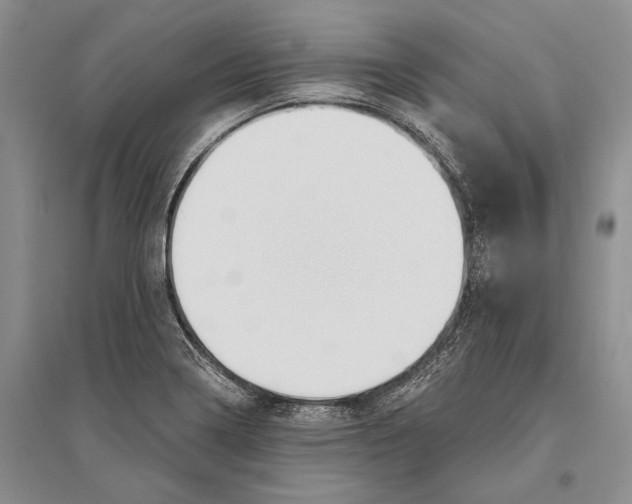 X0000096201322200802151517