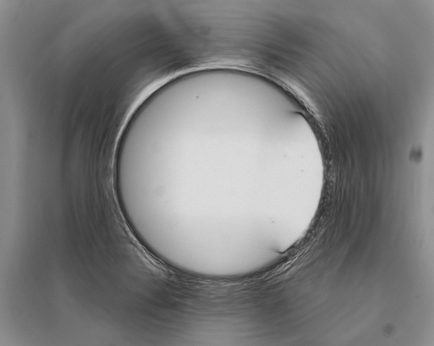 X0000096201324200802151517