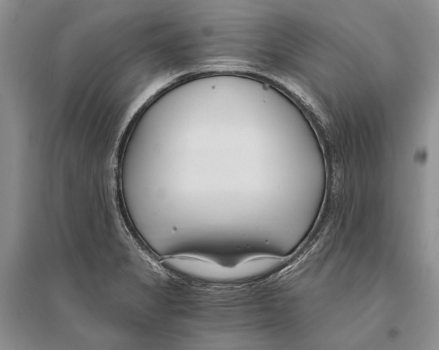 X0000096201325200802151517