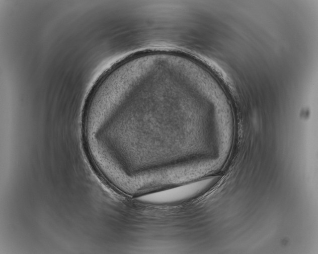 X0000096201327200802151517