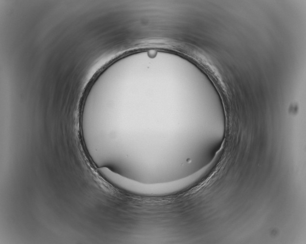 X0000096201328200802151517