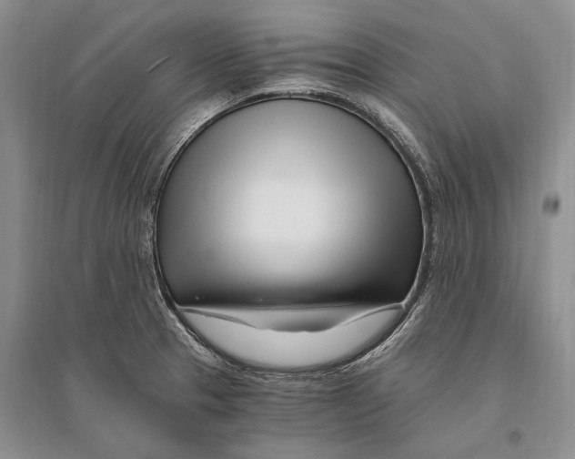 X0000096201329200802151517