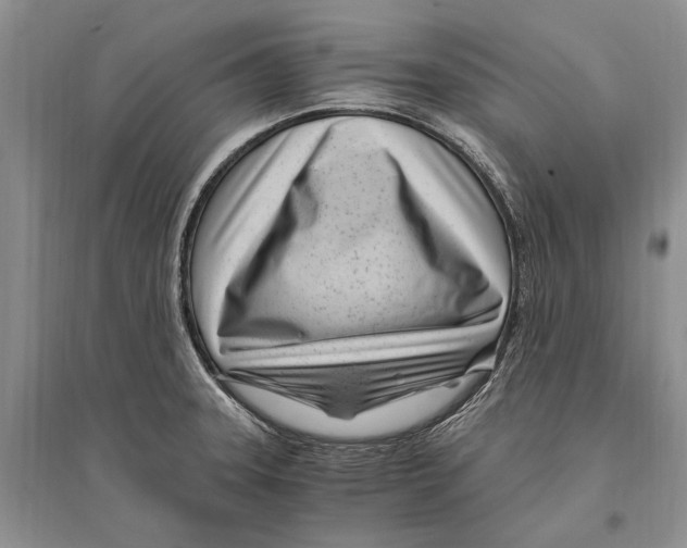 X0000096201331200802151517