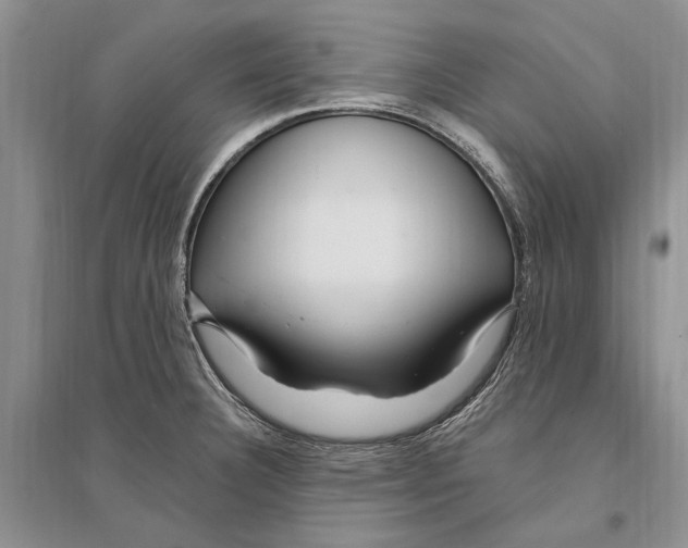 X0000096201332200802151517