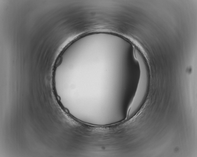 X0000096201333200802151517