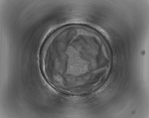 X0000096201334200802151517