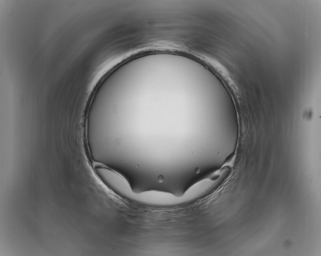 X0000096201335200802151517