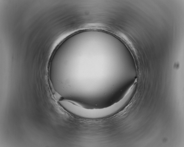 X0000096201336200802151517