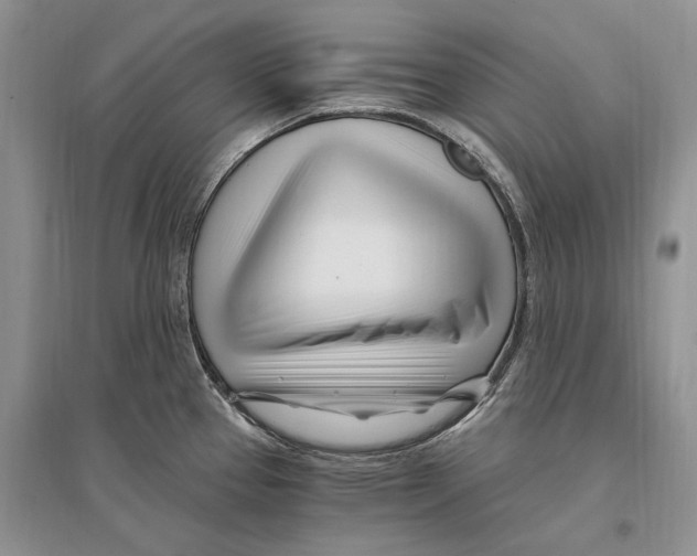 X0000096201337200802151517