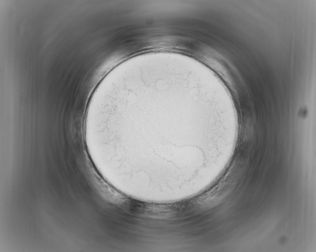 X0000096201338200802151517