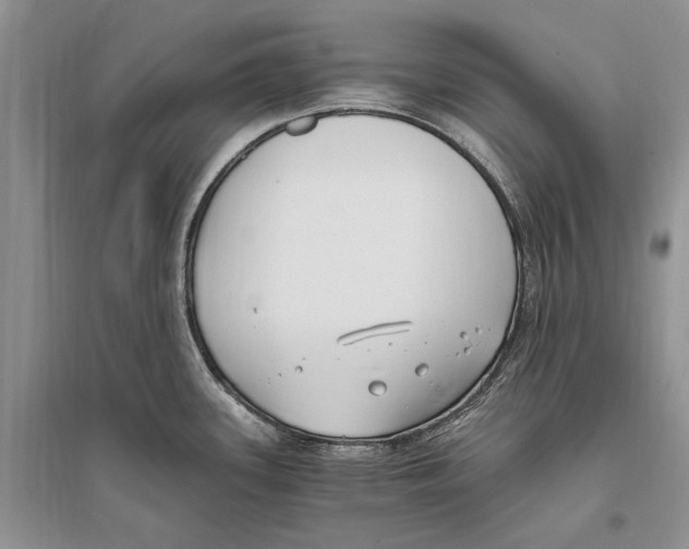 X0000096201339200802151517