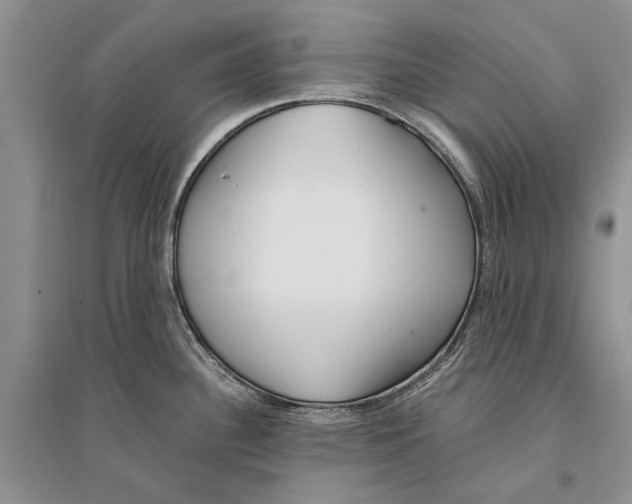 X0000096201340200802151517