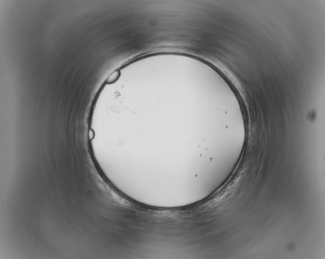 X0000096201341200802151517