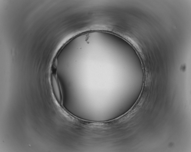 X0000096201342200802151517