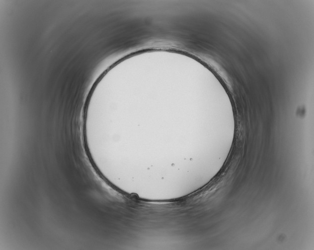 X0000096201343200802151517