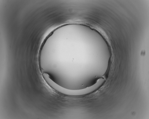 X0000096201344200802151517