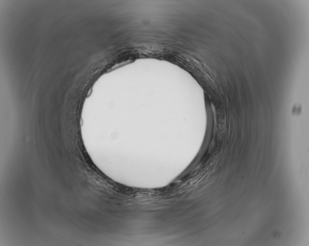 X0000096201345200802151516