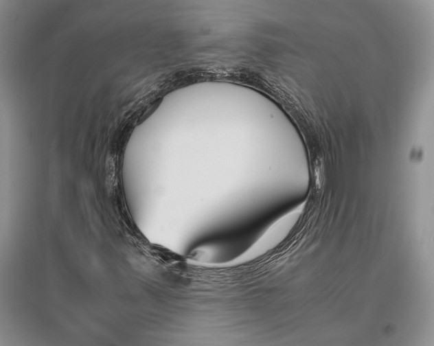 X0000096201347200802151516