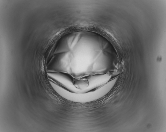 X0000096201348200802151516